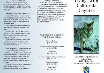 Living with Coyotes in Capitola_Page 1