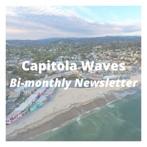 Capitola Waves