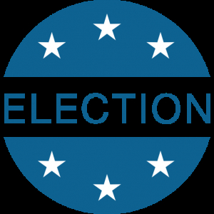 Election Icon