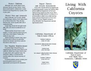 Living with Coyotes in Capitola_Page 1