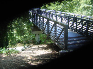 Photo of bridge with green plants around.